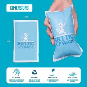 Arttic Gel Ice Packs – Dry Ice for Shipping Frozen Food, Injuries & Lunch Boxes – Multi-Purpose, Reusable & Long-Lasting Ice Bags – Cold Packs for Coolers & Keeping Food Fresh – Freezer bags (32 Pack)