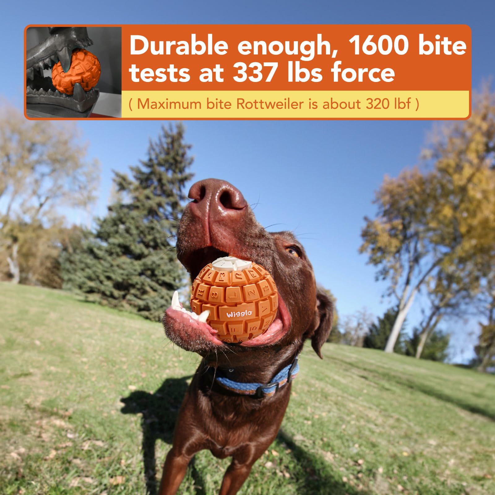 Wigglo Tough Durable Dog Ball Toy for Aggressive Chewers, Natural Rubber Dog Toy for Large/Medium Dogs, 3.5" Diameter Dog Ball Chew Toy, Helps with Dog Separation Anxiety, Dishwasher Safe, Orange