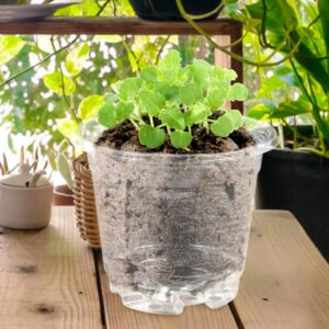 Yardwe Plastic Flower Pots 1 Set Transparent Pot Plant Pots Indoor Plastic Plant Pots Garden Pots Outdoor Planter Pots for Plants Tiestos para Exterior Clear Gallon Pot Pp Breathable