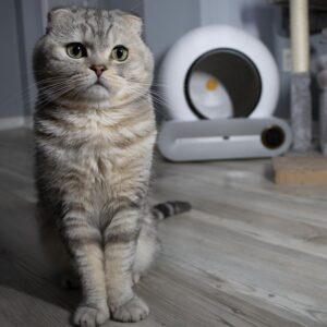 PurrPotty: Self Cleaning Litter Box, Automatic Cat Litter Box for Multiple Cats- App Control and Large Capacity Cat Litter Box