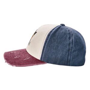 Jelly Music and Roll Unisex Vintage Washed Distressed Baseball-Cap Twill Adjustable Dad-Hat Navy and Red