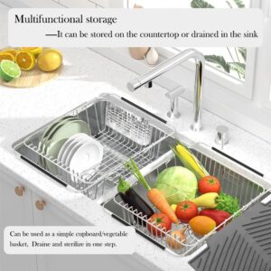 YEECOPON Dish Rack in Sink, Expandable Over The Sink Dish Drying Rack with Utensil Holder and Silicone Drainage pad (Large + 16" Silicone pad)