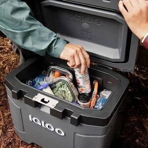 Igloo, Trailmate 25 Qt Cooler, Spruce