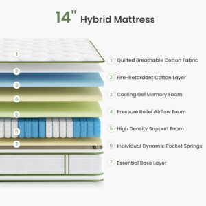 Dourxi Queen Mattress, 14 Inch Hybrid Mattress in a Box, Queen Size Mattress with Gel Memory Foam and Individual Pocket Springs, Cooling Sleep & Pressure Relief, Plush Feel, 80"*60"*14"