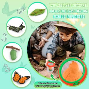 Life Cycle Learning & Education Toys, Montessori Toys Animal Toy Figurines for Frog, Butterfly, Chicken, Ladybug - Educational & Fun Matching Game Preschool Learning Toys Outdoor Explorer Kit