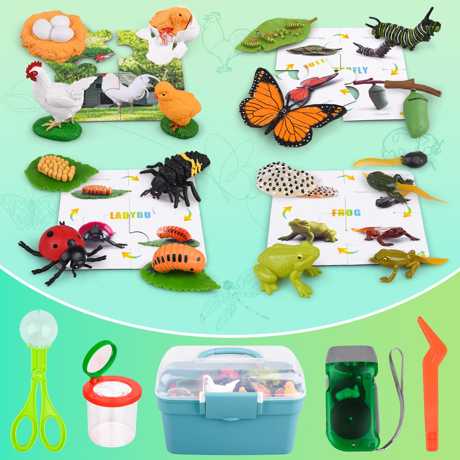 Life Cycle Learning & Education Toys, Montessori Toys Animal Toy Figurines for Frog, Butterfly, Chicken, Ladybug - Educational & Fun Matching Game Preschool Learning Toys Outdoor Explorer Kit