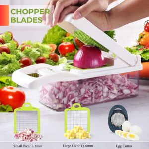 Vegetable Chopper | Mandoline Food Slicer | 13 in 1 Food Chopper | Veggie Chopper | Chopper Vegetable Cutter | Mandolin | Vegetable Slicer | Potato Slicer | Home Essentials And Kitchen Accessories