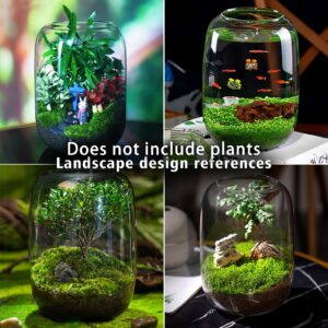 SARUFO Glass Plant Terrarium 6.3"X8.6" Inches Succulent Air Planter Fern Moss Micro-Landscape Vase for Home Garden Office Tabletop Decoration Container Indoor Wardian Copyright Patent