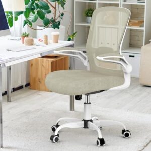 Mimoglad Home Office Chair, High Back Desk Chair, Ergonomic Mesh Computer Chair with Adjustable Lumbar Support and Thickened Seat Cushion (Modern, Beige)