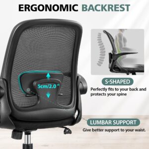 Winrise Office Chair Ergonomic Desk Chairs with Lumbar Support and Flip-up Arms, Comfortable Breathable Mesh Computer Executive Chair with Swivel Task, Adjustable Height 4'', Home - Black