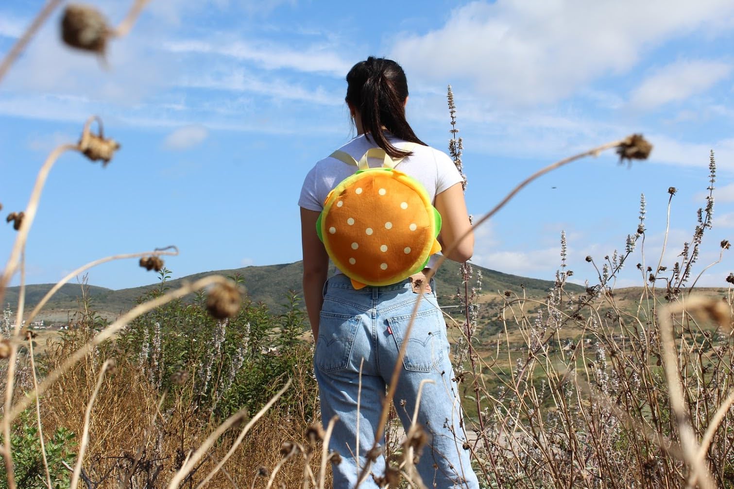 Burger Bag - Spacious Soft Plush Backpack with Adjustable Straps, for Travel and more (12x12 inch)