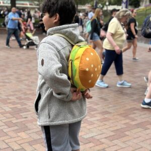 Burger Bag - Spacious Soft Plush Backpack with Adjustable Straps, for Travel and more (12x12 inch)