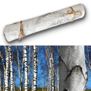 artificial birch bark 3d realistic texture 78.7in*19.7in（10.8 sq.ft）silicone material faux tree bark nature-inspired diy design eco-friendly home deco accentuating natural beauty