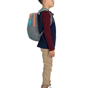 Osprey Daylite Jr. Kids' Backpack, Enjoy Outside Print/Grey Area, One Size