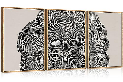 CHDITB Framed Wood Tree Rings Wall Art Set, 16x24in Black and White Canvas Art Wall Decor, Abstract Nature Wall Pictures Prints, Modern Paintings Wall Art for Living Room, Bedroom, Farmhouse(3Pcs)