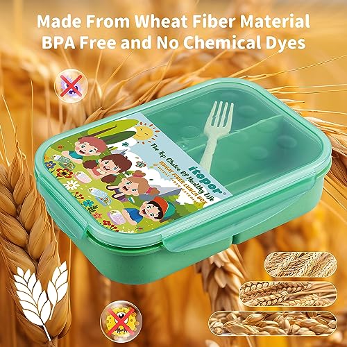 Itopor® Lunch Box,Ideal Leak-Proof Bento Box for Kids & Adults,Natural Wheat Fiber Material,Mom's Top Choice,Kids Lunch Box No BPA & Dyes,Portable & Durable Lunch Container for Family(Green)