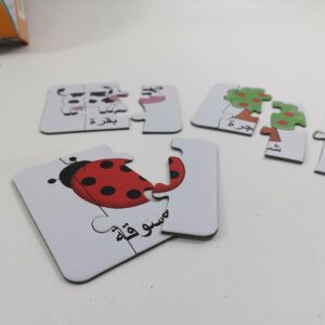 Learning Arabic Cards