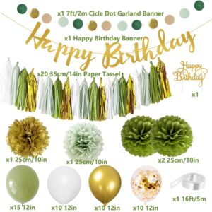 Sage Green Birthday Decorations Neutral Birthday Party Decor with Happy Birthday Banner Sage Paper Tassels Garland Circle Dots Garland Olive Green Gold Paper Pom Poms Balloons for Girls Women