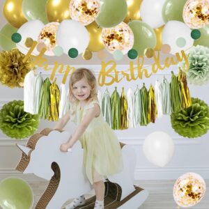 Sage Green Birthday Decorations Neutral Birthday Party Decor with Happy Birthday Banner Sage Paper Tassels Garland Circle Dots Garland Olive Green Gold Paper Pom Poms Balloons for Girls Women