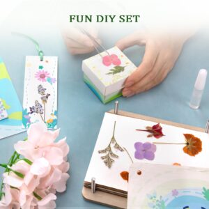 Aboofx Flower Press Kit for Kids 4 Layers 6 x 6 Inch, Recycle Flower Arts and Crafts Kits for Flower Pressing Drying Book, Surprise for Boys and Girls