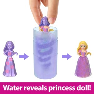 Mattel Disney Princess Toys, Small Doll Royal Color Reveal with 6 Surprises Including Scented Ring & 4 Accessories, Garden Party Series (Dolls May Vary)