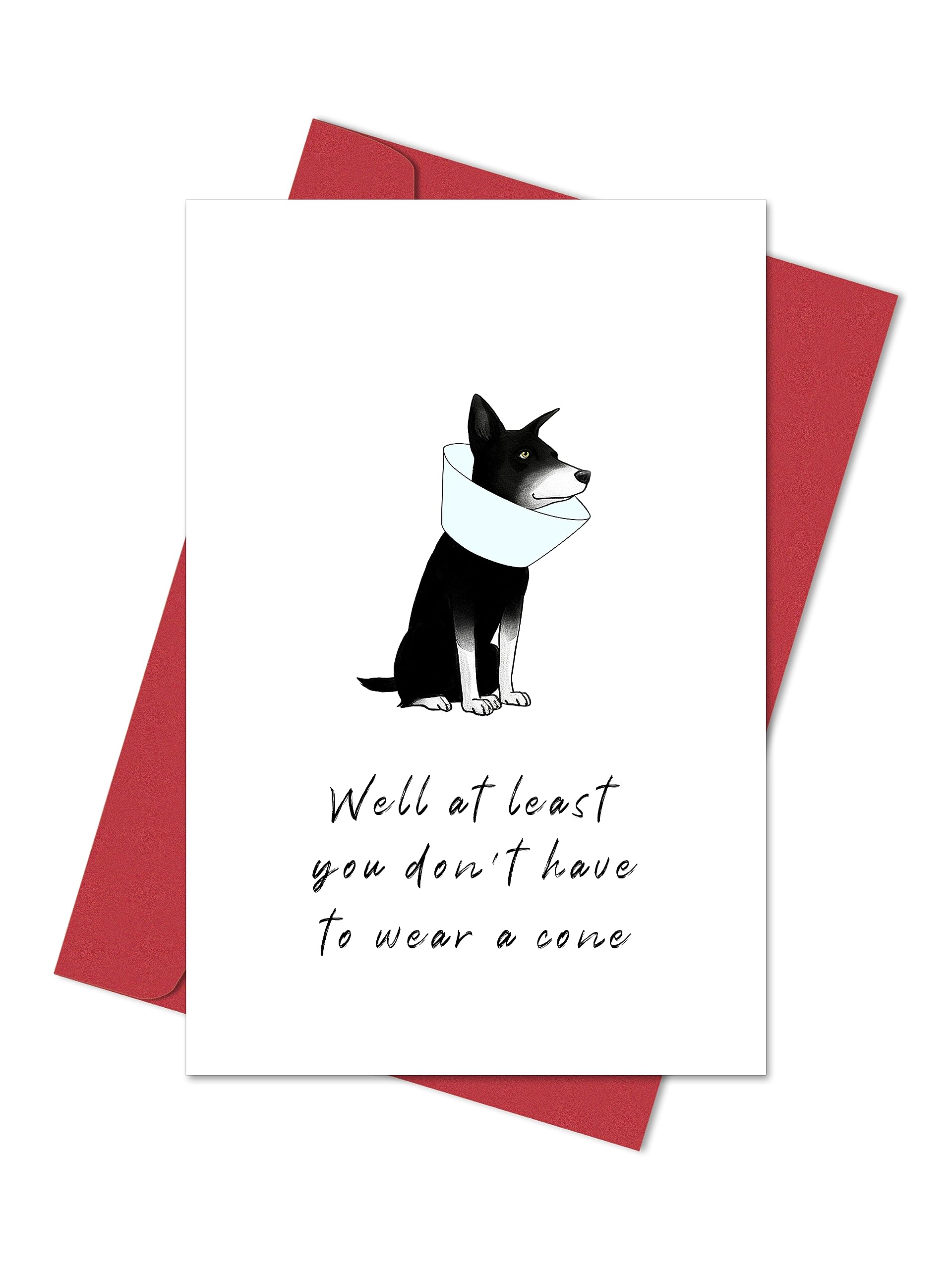 Heollaok Funny Recovery Card for Him Her, Humorous Get Well Soon Card for Friends, Well at Least You Don't Have to Wear a Cone Card, Cute Pug Cone Card