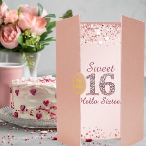 Vlipoeasn Sweet 16 Birthday Guest Book Alternative, Rose Gold Sweet 16 Birthday Decorations for Girl, 16th Birthday Party Signature Book, 16 Year Old Birthday Gifts for Girls