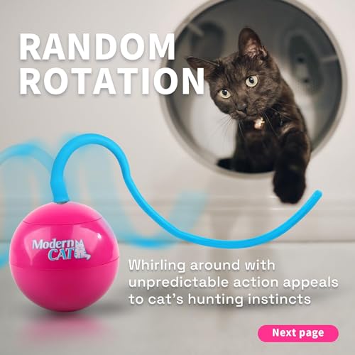 ALL FOR PAWS Interactive Cat Ball Toy