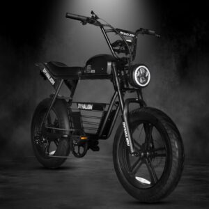 vowsway 20'' fat tire electric bike for adults 32 mph 60 miles, ebike 1500w/48v/16ah with removable battery, 2 person electric bike with long saddle, retro motorcycle design e-bike…