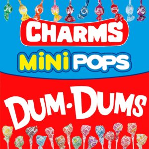 bulk suckers individually wrapped bulk lollipops - dum dums and charms mini assorted pops (1000 count) by bussin boxes