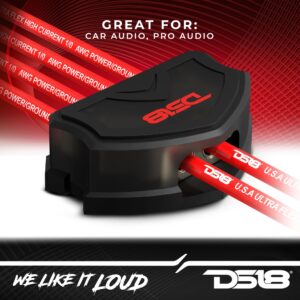 DS18 DB2040 Distribution Block 2X 0-GA in 4X 0-GA Out - Nickel Plated - Power Ground Distribution Block - Ground Distributor Block for Car Audio, RV, Motorcycle - 2X 0 Gauge in to 4X 0 Gauge Out