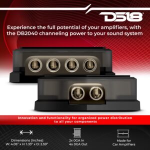 DS18 DB2040 Distribution Block 2X 0-GA in 4X 0-GA Out - Nickel Plated - Power Ground Distribution Block - Ground Distributor Block for Car Audio, RV, Motorcycle - 2X 0 Gauge in to 4X 0 Gauge Out