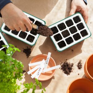 Seed Starter Tray Kit with Grow Light | 12 Flexible Pop-Out Cells Silicone Bottoms | Reusable Seedling Starter Trays with Humidity Dome,Garden Tools,Labels | for Starting Vegetable Flower Seeds