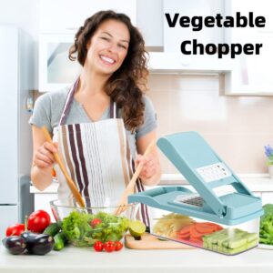 Vegetable Chopper Multifunctional Veggie Chopper,Blue Kitchen Vegetable Slicer Dicer Cutter,Potato Onion Food Chopper with Vegetable Peeler,Hand Guard and Container