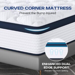 FLEXPEDIC 10" Queen Mattress, Memory Foam Hybrid Mattress with Space Cotton for Tight Sleep, Medium-Firm Cooling Mattress with Stronger Support, Motion Isolation &Pressure Relief