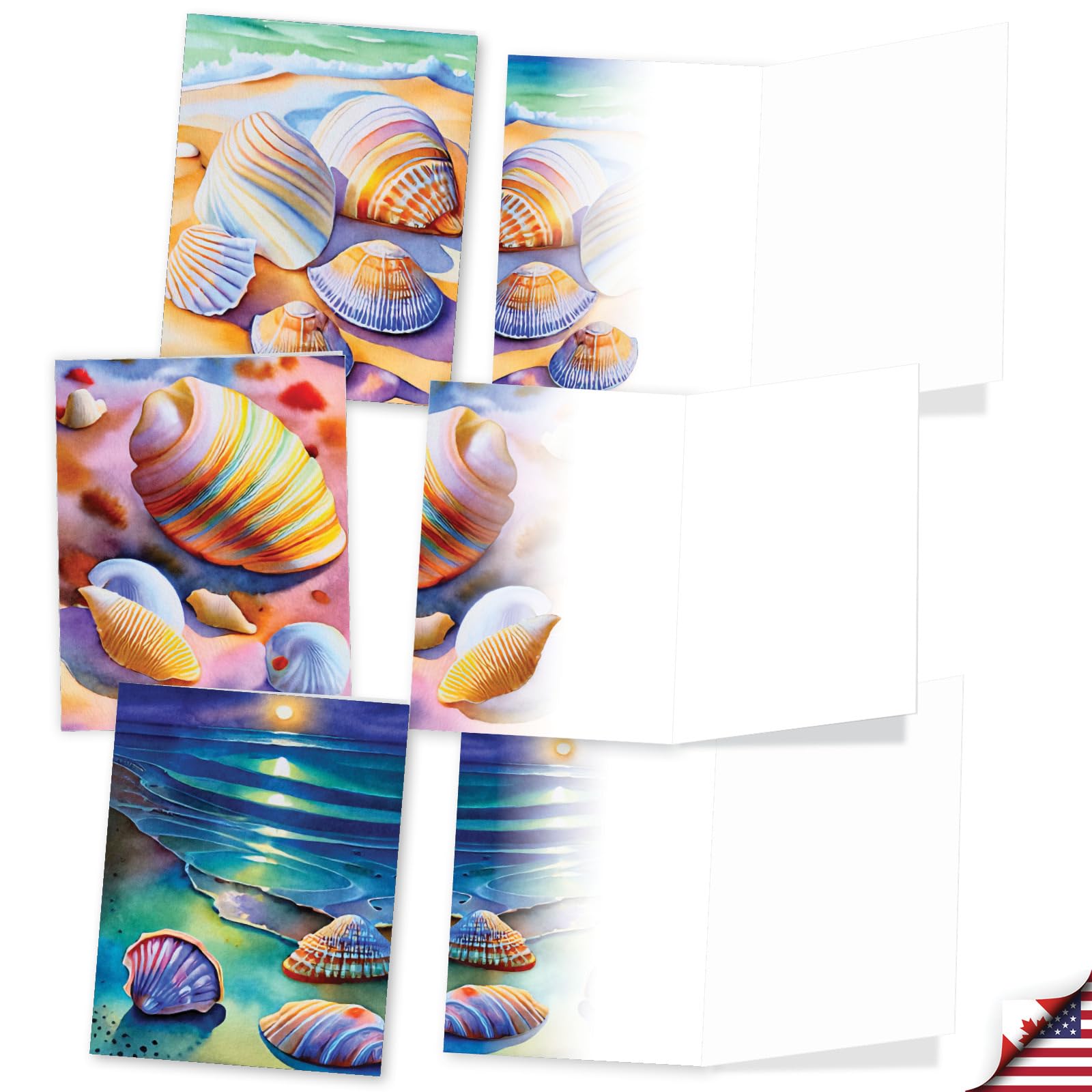 The Best Card Company 20 Assorted Blank Notecards Box Set 4 x 5.12 Inch with Envelopes (10 Designs, 2 Each) Rainbow Seashells AM10040OCB-B2x10