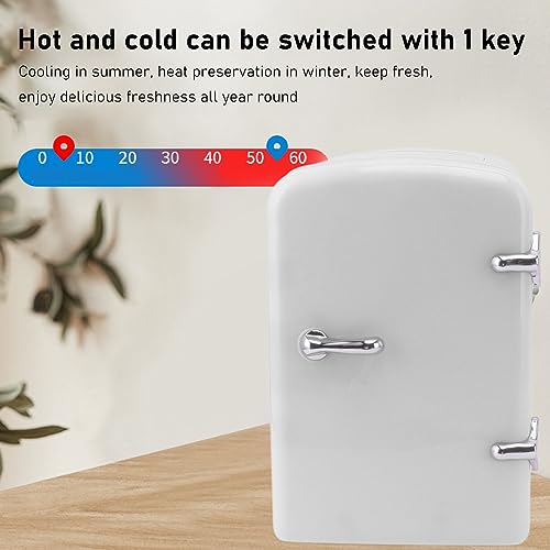 Mini Beauty Fridge, Portable Cooler Warmer Refrigerator ABS Plastic 36W AC100-240V DC12V Noiseless for Office (US Plug)