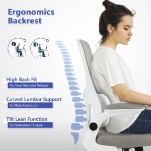 Ergonomic Office Chair, High Back Home Office Desk Chair with Lumbar Support, Computer Task Chair with Wheels, Swivel Adjustable Executive Chair for Home Office,Grey