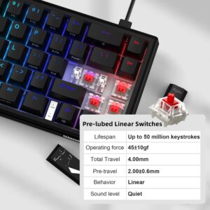 V-K66 60% Percent Keyboard, Mechanical Gaming Keyboard Gasket Mounted, Wired LED Backlit Keyboard with Arrow Keys - Black and White