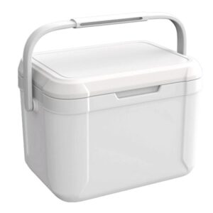 camping cooler insulated portable cooler ice retention hard cooler with heavy duty handle for lunch beach drink beverage travel camping picnic car trips (white-5qt)