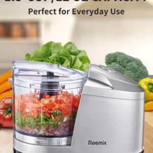 1.5-Cup One-Touch Electric Food Chopper, 100W Mini Food Processor Meat Grinder, Mix, Chop, Mince and Blend Vegetables, Fruits, Nuts, Meats, Stainless Steel Blade (Silver)