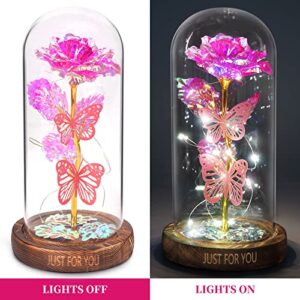 WOKEISE Light Up Rose Butterfly in Glass Dome,Birthday Gifts for Women, Anniversary Flower Lighted Roses Gifts for Women,Wife,Mom, Grandma,Girlfriend,Teenage Girls,Sister-Pink