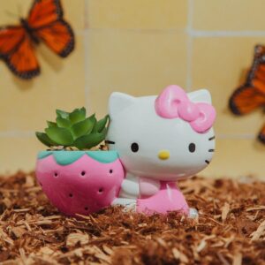 Toynk Sanrio Hello Kitty Strawberry 5-Inch Planter with Artificial Succulent