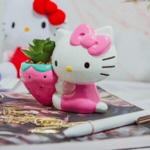 Toynk Sanrio Hello Kitty Strawberry 5-Inch Planter with Artificial Succulent