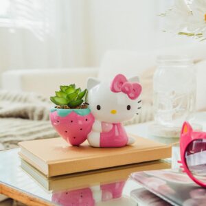 Toynk Sanrio Hello Kitty Strawberry 5-Inch Planter with Artificial Succulent