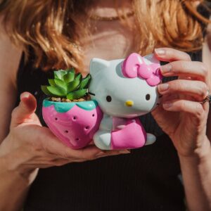 Toynk Sanrio Hello Kitty Strawberry 5-Inch Planter with Artificial Succulent