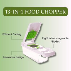 13-in-1 Food Chopper, Professional Veggie Slicer cutter, vegetables chopper, and Garlic Chopper with 8 Interchangeable Blades and Container vegetable chopper Kitchen Essential for Effortless Meal prep