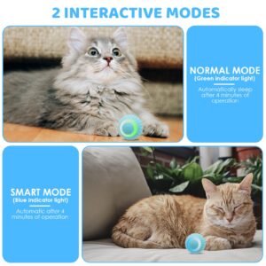 Pakoo Interactive Cat Toys Ball with LED Lights, Smart 360° Automatic Rolling Kitten Toys with Type-C Charge, Best Gift for Your Cat/Kitty