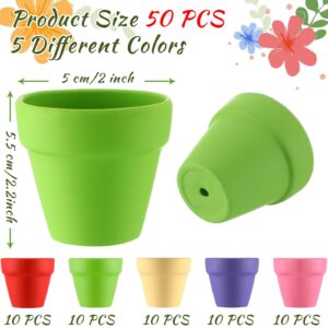 Tioncy 50 Pcs 2 Inch Small Terracotta Pots Mini Colored Clay Flower Pots with Drainage Hole Succulent Pots Nursery Terra Cotta Pots Mini Planters for Indoor Outdoor DIY Craft Wedding Favor