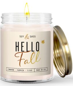 fall candles - 'hello fall' fall candle w/cinnamon, spice & pumpkin candle i infused with essential oils i autumn fall scented candles i pumpkin spice candle i 9oz jar i 50hr burn i made in usa